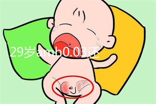 29歲amh0.03還能做試管嬰兒嗎？能否取到卵是懷孕關鍵