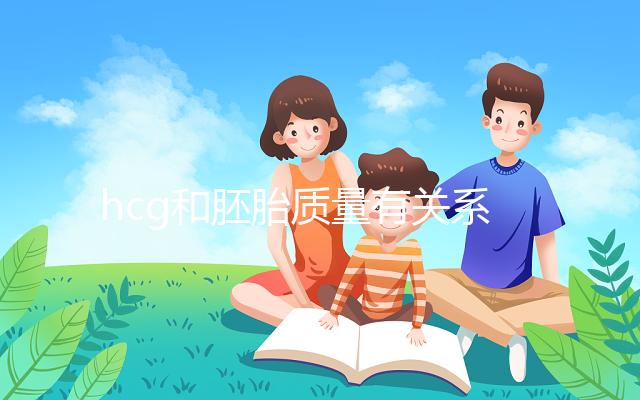 hcg和胚胎質量有關系?hcg低并不一定是胚胎不好!